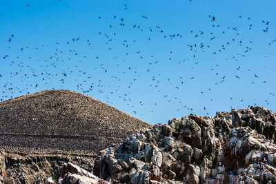 Flock of birds flying over mountains against clear blue sky