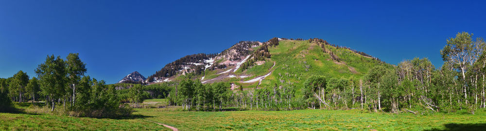 Panoramic view of landscape against clear blue sky