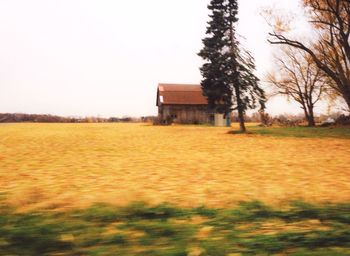 Scenic view of agricultural field