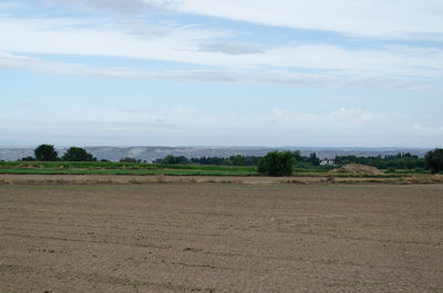 Scenic view of field against sky
