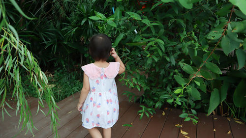 Rear view of girl standing by plants