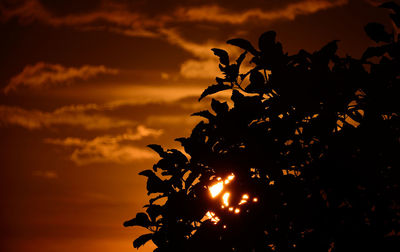 Silhouette of trees against sky at sunset