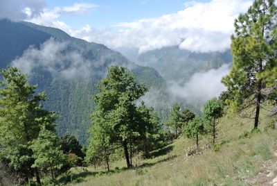 Scenic view of trees and mountains against sky