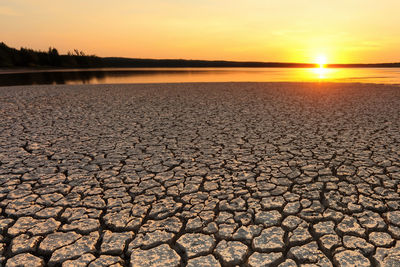 Traces of global warming. confronting the dried and cracked lake bottom. 