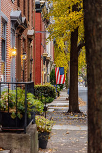 Fall foliage sidewalk with brick buildings and an american flag in the distance