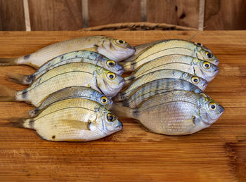 High angle view of fish on table