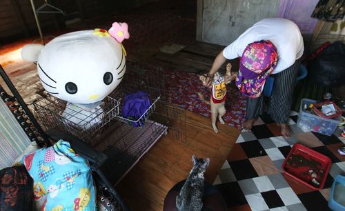 High angle view of toys on table