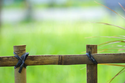 Close-up of bamboo fence on field