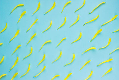 Low angle view of palm tree against blue sky