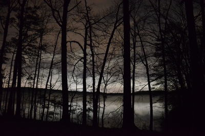 Silhouette bare trees in forest against sky