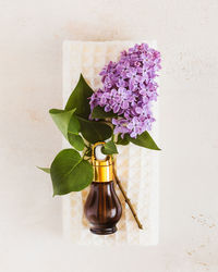 Fresh sprig of lilac and bottle with cosmetic oil on a white towel on a light background