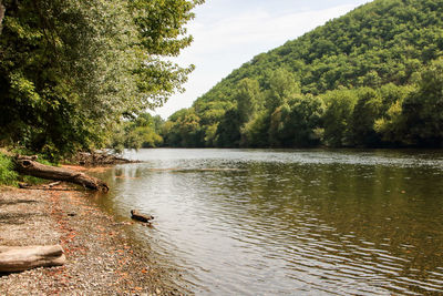 Scenic view of lake in forest against sky