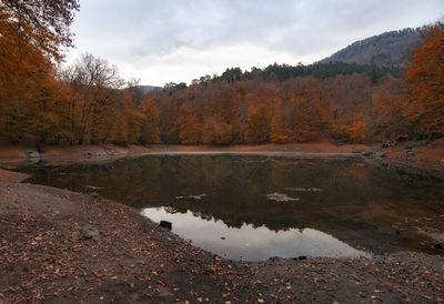 Scenic view of lake by trees against sky