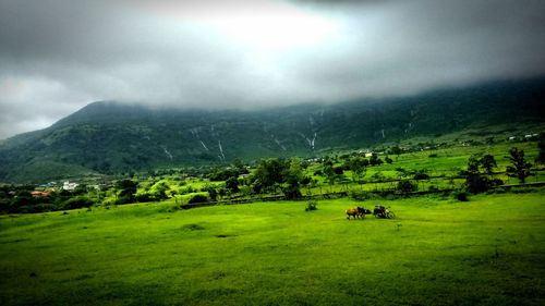 Scenic view of green landscape against sky