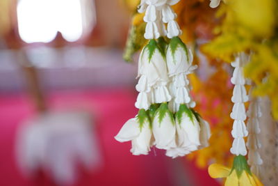 Close-up of white rose bouquet