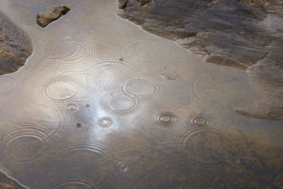 High angle view of raindrops on water