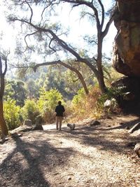 People walking on tree trunk