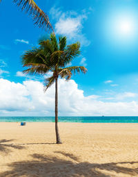 Scenic view of palm tree by sea against sky