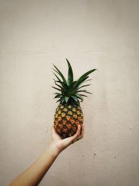 Close-up of hand holding fruit