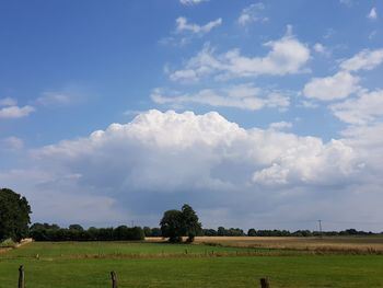 Scenic view of agricultural field against sky