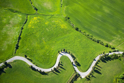 Aerial view of winding road amidst farms