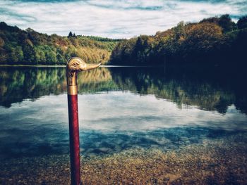 Animal shape on walking cane against lake