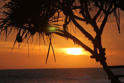 Silhouette tree by sea against orange sky