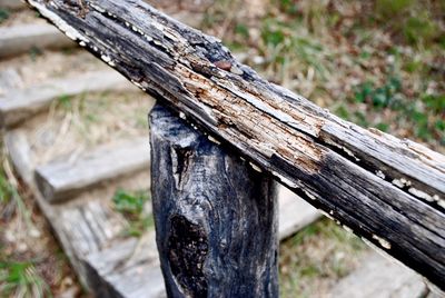 Close-up of weathered logs