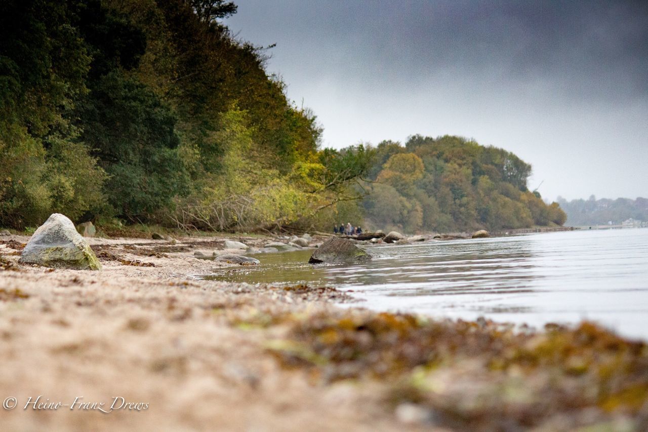 water, nature, tree, scenics, no people, tranquil scene, tranquility, day, sky, beauty in nature, river, outdoors, beach, landscape, mountain, grass