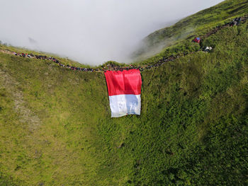 Rear view of man standing on mountain