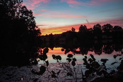 Silhouette trees by lake against sky during sunset