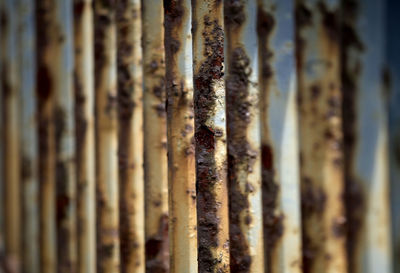 Full frame shot of rusty metal fence