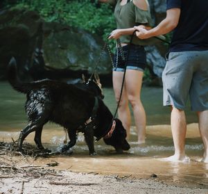 Low section of people with dog in water