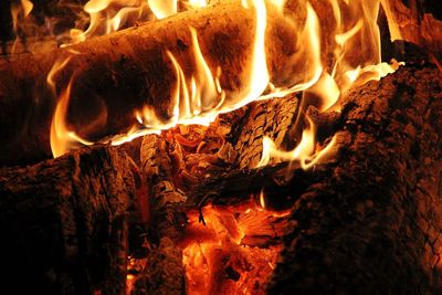 Close-up of bonfire at night