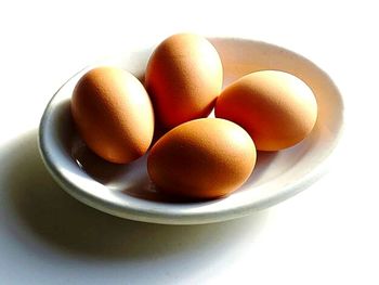 Close-up of food on white background