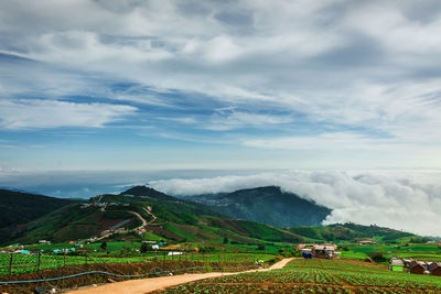 Scenic view of agricultural field against sky