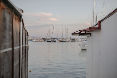 Sailboats moored in harbor