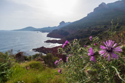 Scenic view of sea and mountains against sky