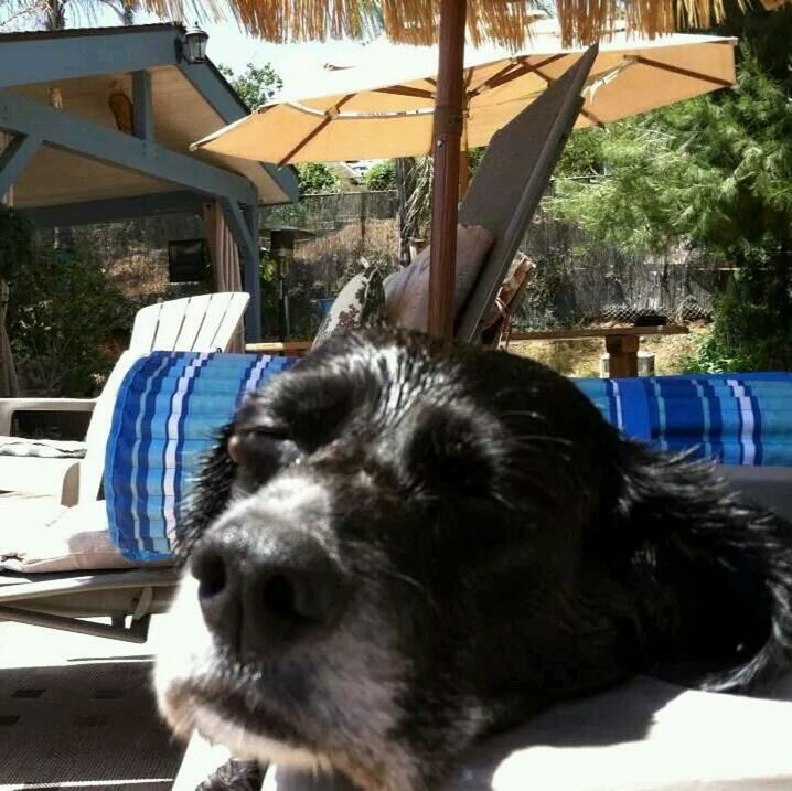 Hungover by the pool