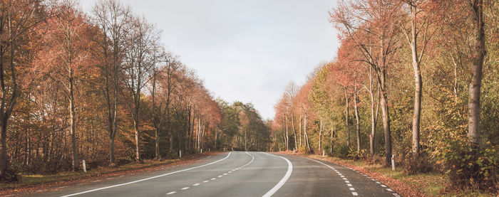 Empty road amidst trees during autumn