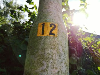 Low angle view of information sign on tree