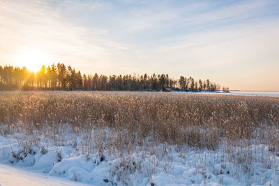 Panoramic view of frozen lake against sky during sunset