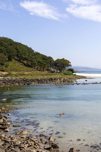 Scenic view of sea and trees against sky