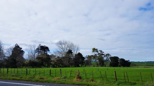 Scenic view of field against sky