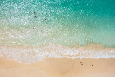 High angle view of surf on beach