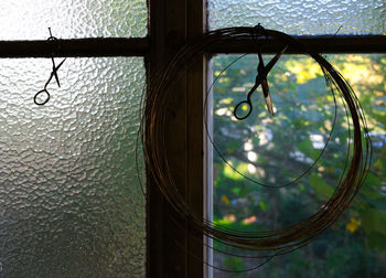 Close-up of glass window against trees