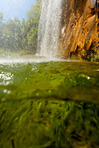 Close-up of water flowing over land