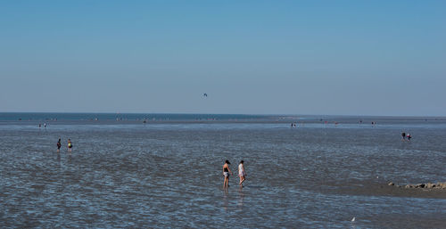 High angle view of people on beach