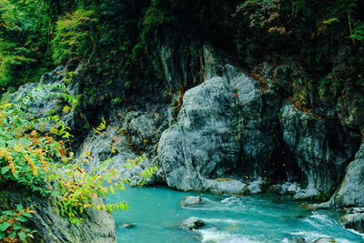 Stream flowing through rocks in forest