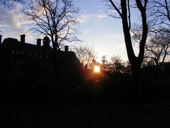 Bare trees against sky at sunset